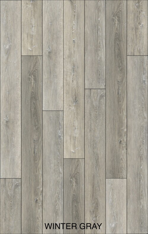 WINTER GRAY